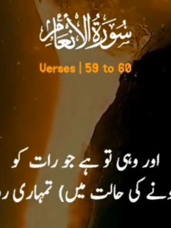 #Allah #alquran #foryou #Quran #qurantranslationurdu #goviral #islamic_video #foryoupage #unfrezzmyaccount #fyp #tiktok 