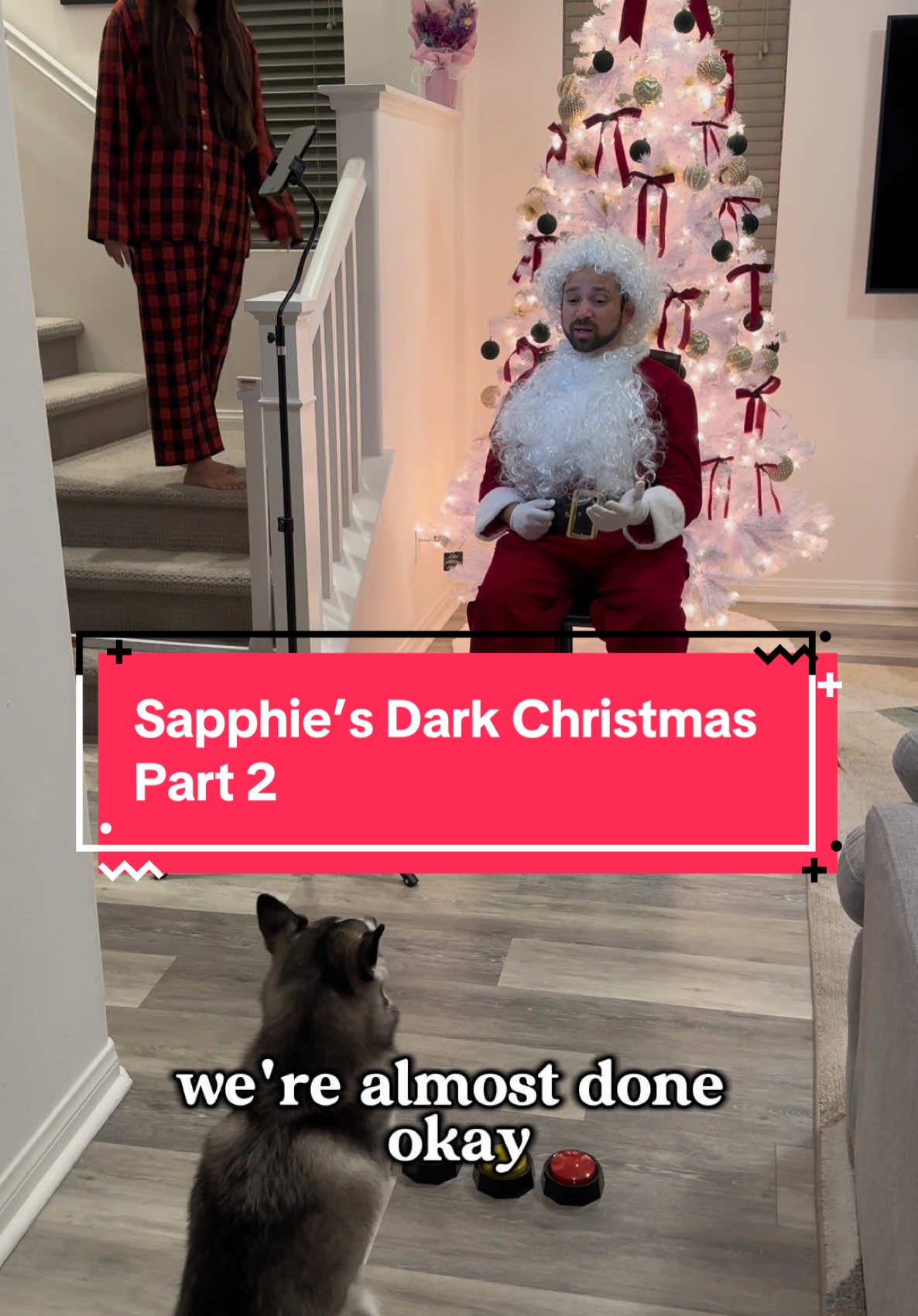 Sapphie’s dark Christmas part 2 🤣 #dogs #dogsoftiktok #funnydog #christmas #santa #fyp 