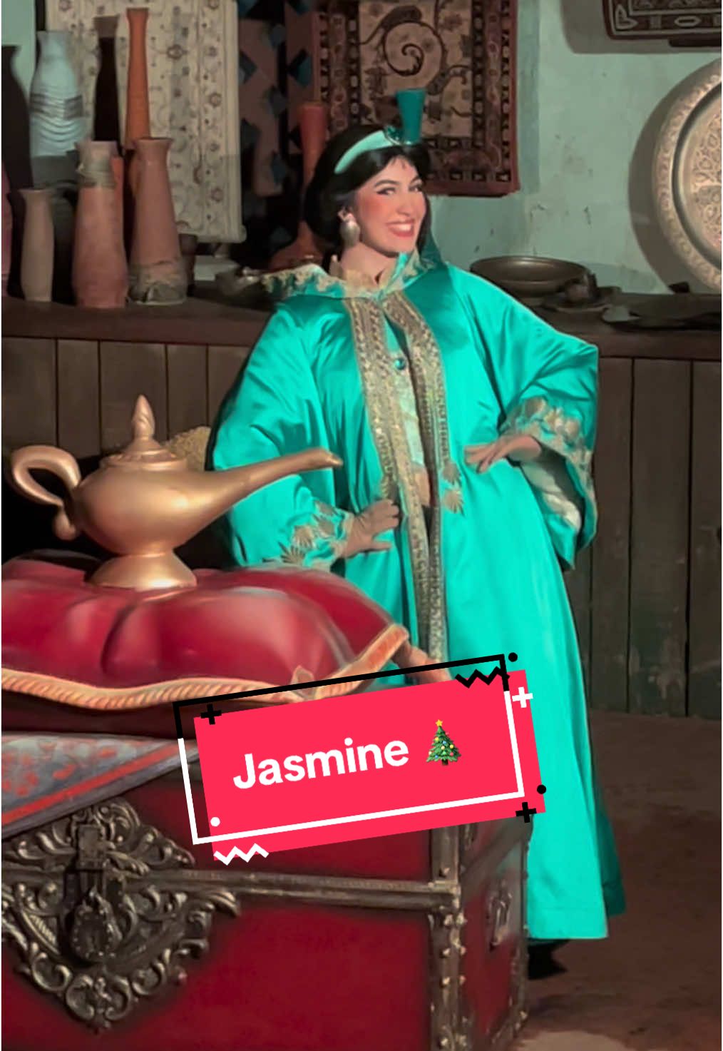 Jasmine #disneylandparis #disney #jasmine #christmas 