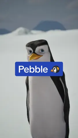 Pebble has some words for your morning 🐧💙❄️    Thanks Pebble!!  #CapCut 