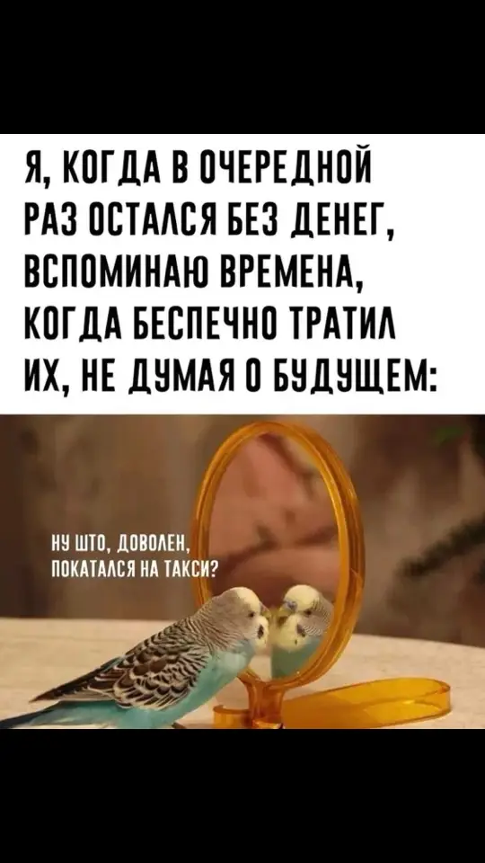 #мем #Meme #memestiktok #мемы 