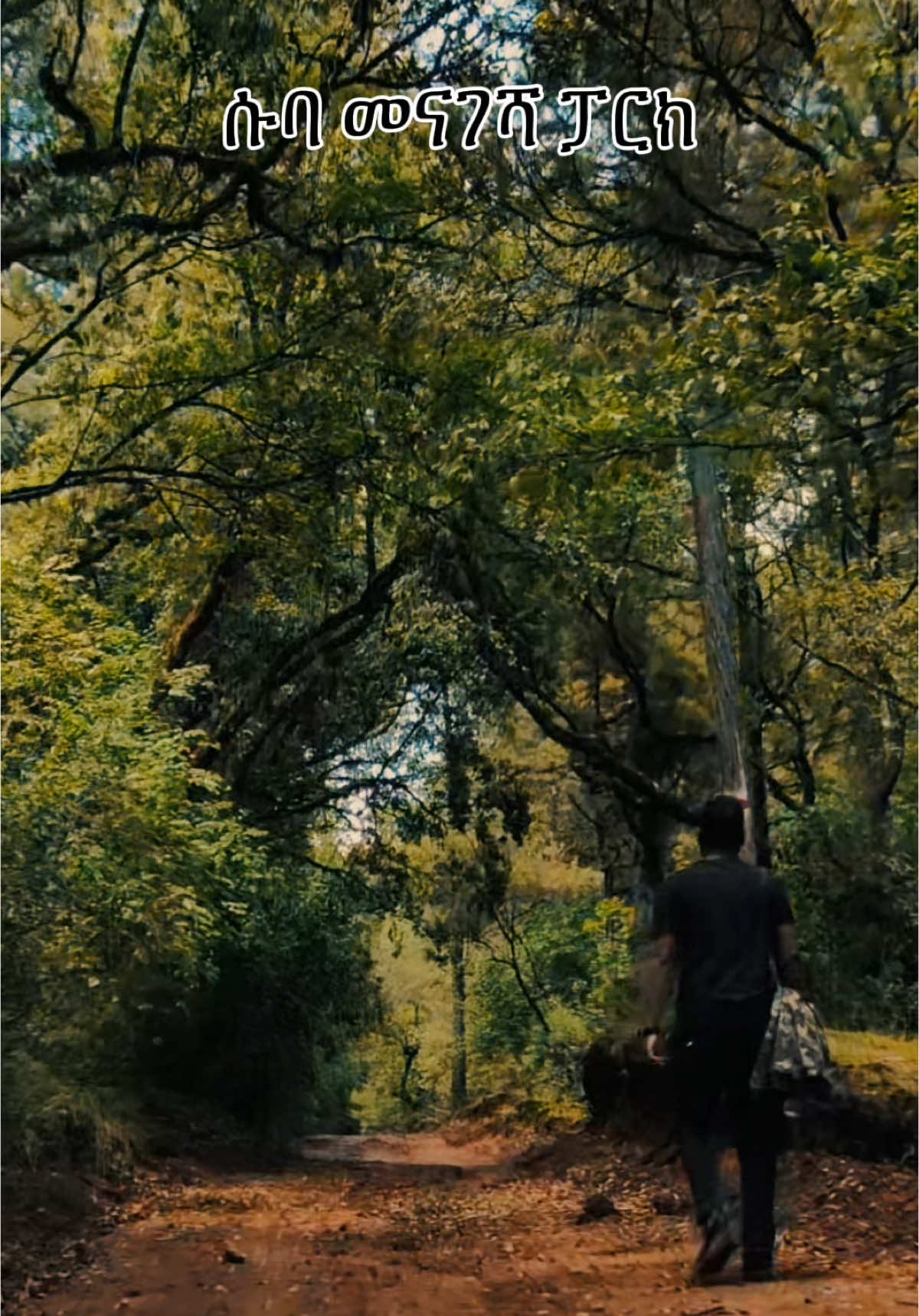 When in Suba Menagesha Forest Park.  The Oldest Park in Africa.  #fyp #fypシ゚viral🖤tiktok #forestpark #park #suba #landoforigins #ethiopian_tik_tok  