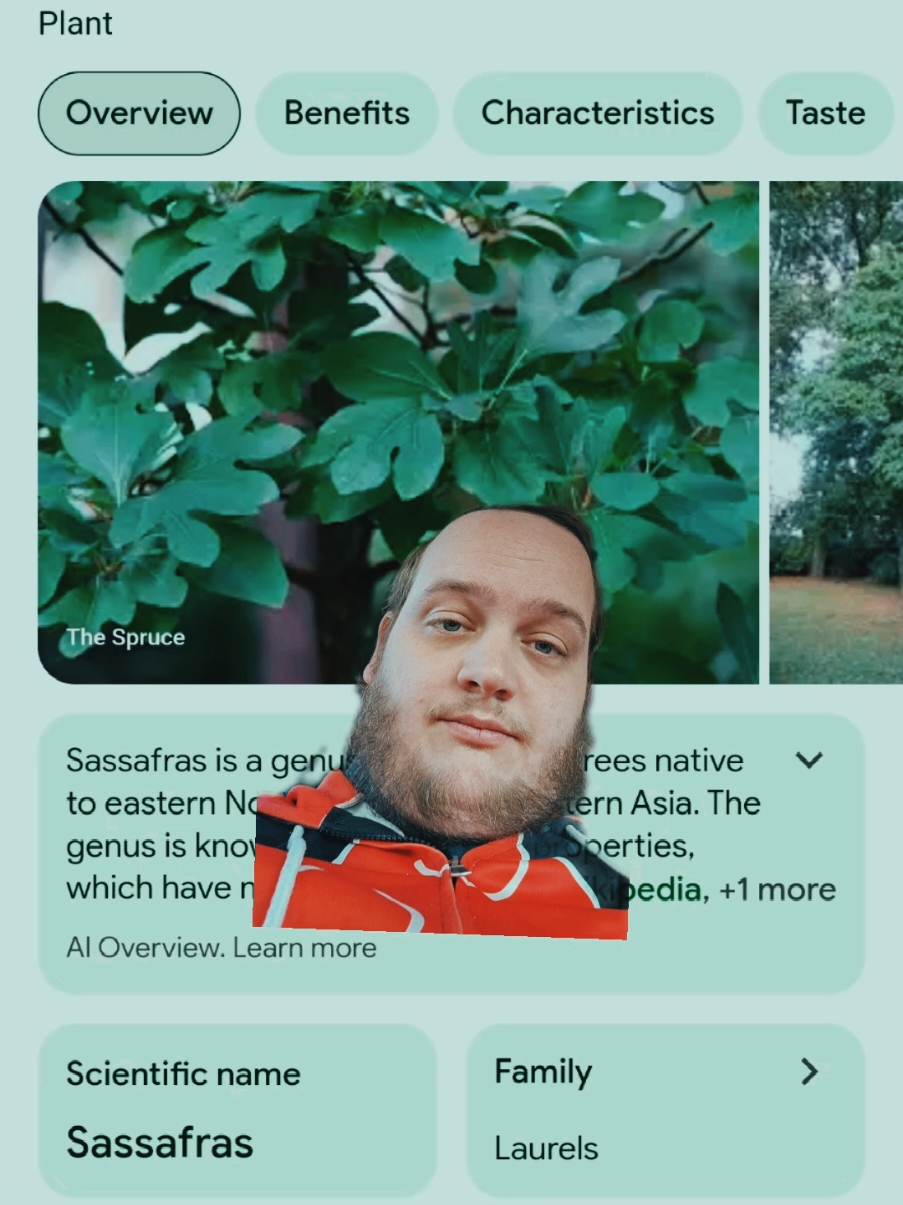 🤣SASS🌱#greenscreen #sassafras #memes #jokes #memestiktok #autism #funny #foryourpage #foryoupage #plants #fypシ #fyp #viral #blowthisup #foryoupage 