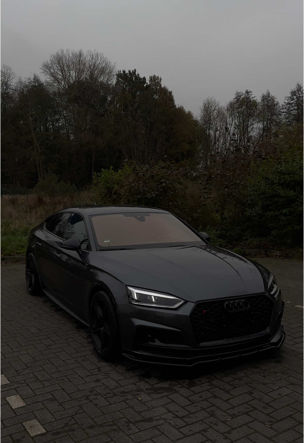 😤 #foryou #viral #audi #rs