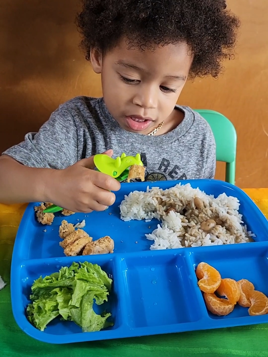 #gift  Eating has gotten so much fun for Kojo. This cool Chomperwear utensils makes eating fun and interactive! 2 pack kid utensil set : t-rex fork and triceratops spoon Available in 2 Colors: Leafy Green or Purple Fruits Visit their website  www.jollycub.com Also, my Amazon link https://amzn.to/4idmUQZ Thank you so much for these wonderful chompers  @jollycubshop  #laniloveaj #jollycub #amazonfinds #amazonmusthaves #founditonamazon #amazonfavorites #amazondeals #kids #toddler #baby #babyproducts #toddlermom #momlife #toddlerlife #toddlermeals #feedingkids #parentingtips #microinfluencer #productreview #producttester 