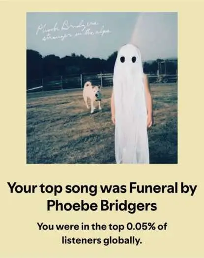 i’m fine #spotifywrapped #spotify #phoebebridgers #music #fyp #foryou 