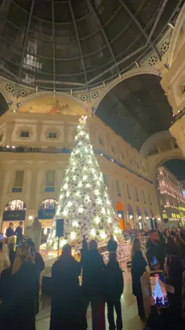 L’accensione dell’albero di Natale 2024 in Galleria Vittorio Emanuele II. #milano #milanoamore #italy #italia #alberodinatale #christmas #christmas2024 #natale #natale2024 #galleriavittorioemanuele #piazzaduomomilano