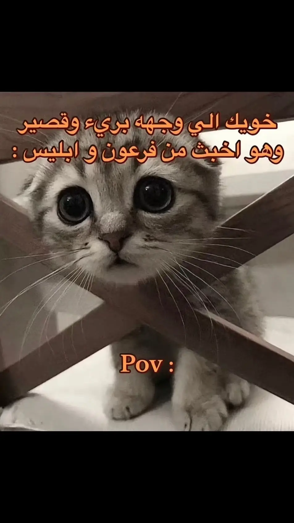 #foryou #fyp #ابوزهره #رياكشن #هههههههههههههههههههههههههههههههههههههه #الشعب_الصيني_ماله_حل😂😂 #اكسبلور 