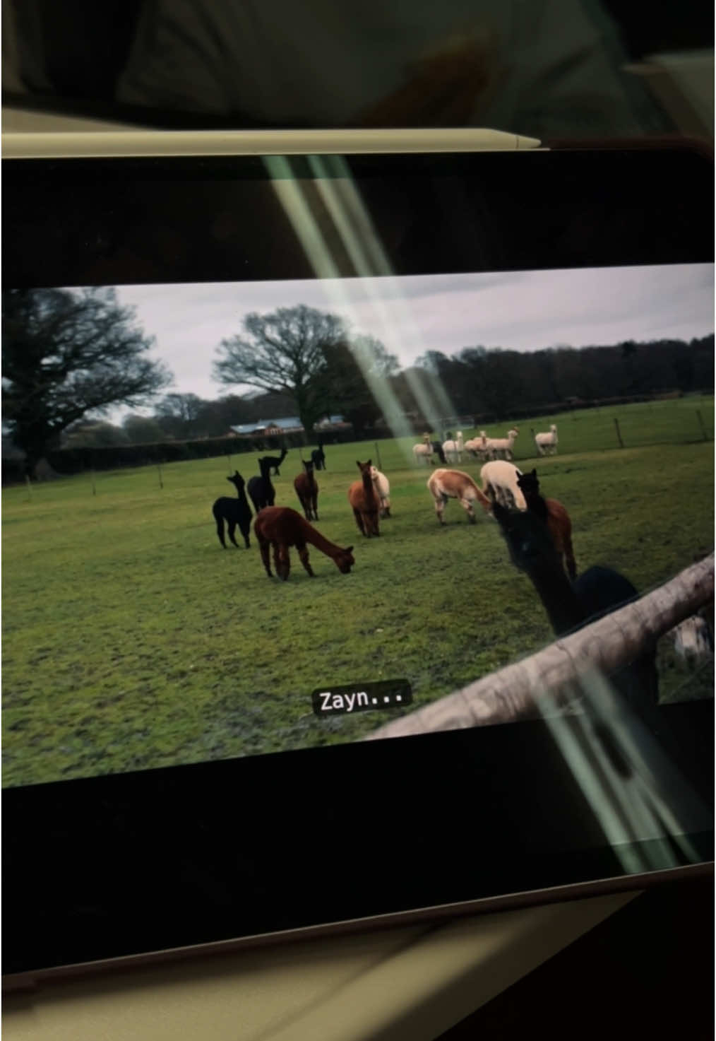 oh… #liampayne #onedirection #harrystyles #zaynmalik #louistomlinson #niallhoran #netflix