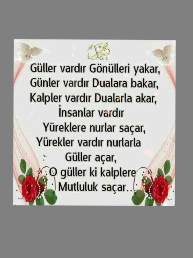 #gül ve #gönül #nur 