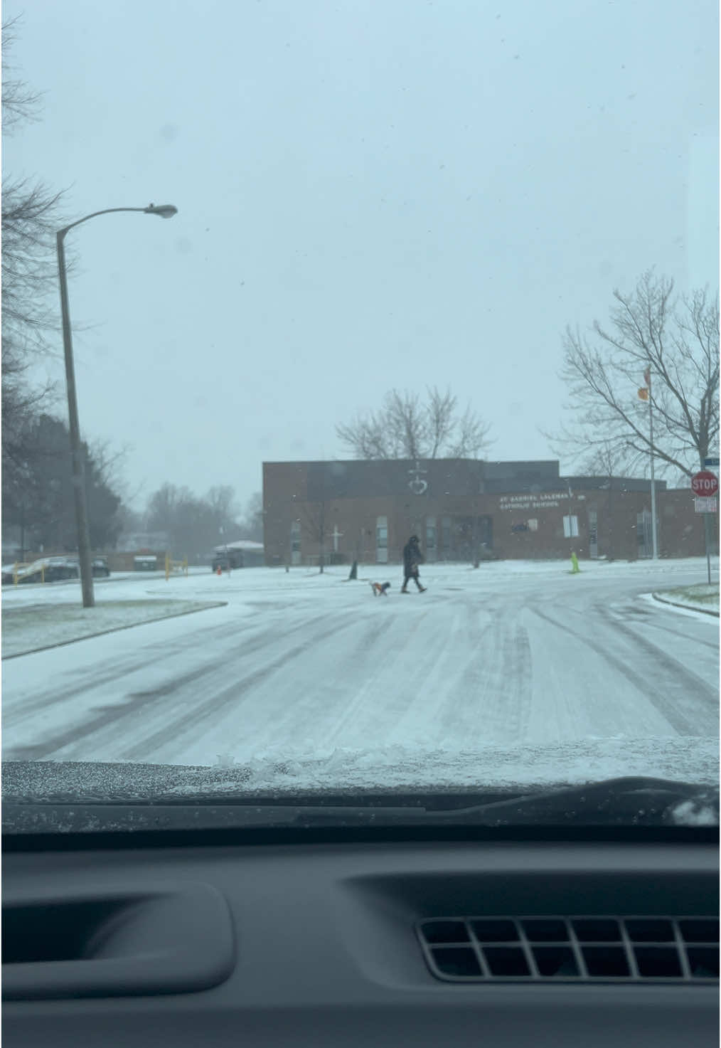 Driving Through a Canadian Snowstorm: Icy Roads & Snow Chaos! #WinterDriving #CanadaSnowstorm #IcyRoads #SnowDriving #TorontoWinter #CanadianWinter #SnowChaos #WinterWeather #DriveSafe #Snowstorm #FrozenCanada #IcyConditions #CanadaLife #TorontoSnow #WinterAdventure #RoadTripCanada #BlizzardConditions #SnowCoveredRoads