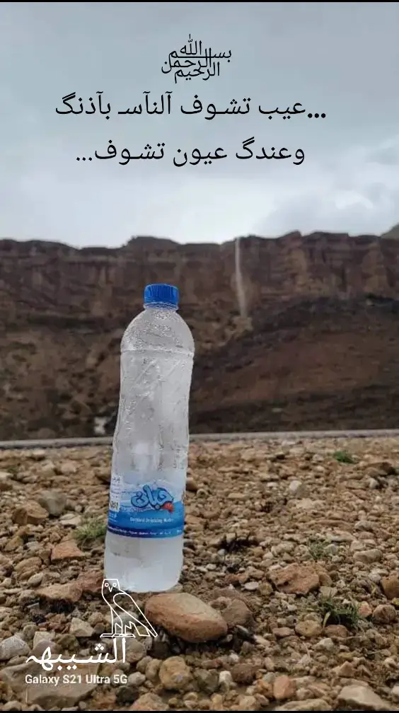 #شبوة 