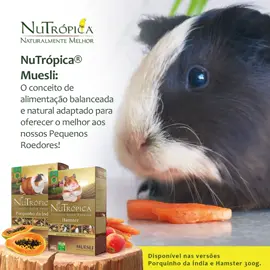 A linha NuTrópica® Muesli oferece alimentos extrusados completos e nutritivos, especialmente desenvolvidos para hamsters, porquinhos da índia e pequenos roedores. Combinando cereais integrais, frutas desidratadas e sementes, cada embalagem é feita com ingredientes selecionados e não transgênicos, garantindo qualidade e sabor em cada porção. Os itens coloridos e saborosos tornam a alimentação mais divertida e atrativa, promovendo saúde e bem-estar aos seus pets. Muesli é uma mistura saudável de cereais, frutas secas, sementes e nozes, rica em fibras, vitaminas e minerais. Criado originalmente para humanos, o conceito foi adaptado para oferecer aos nossos pequenos roedores uma alimentação balanceada e natural. NuTrópica® Muesli deve ser utilizado como uma alternativa alimentar, podendo ser oferecido de 2 a 3 vezes por semana. Alimente o bem-estar do seu pet com o sabor e a qualidade que ele merece! #nutropica #superpremium #alimentoextrusado #saúdepet #criaretudodebom #criarepreservar #somosnutropica #naturalmentemelhor #porquinhodaindia #guineapig #porquinhodaindiabrasil #nutropicapequenosmamiferos
