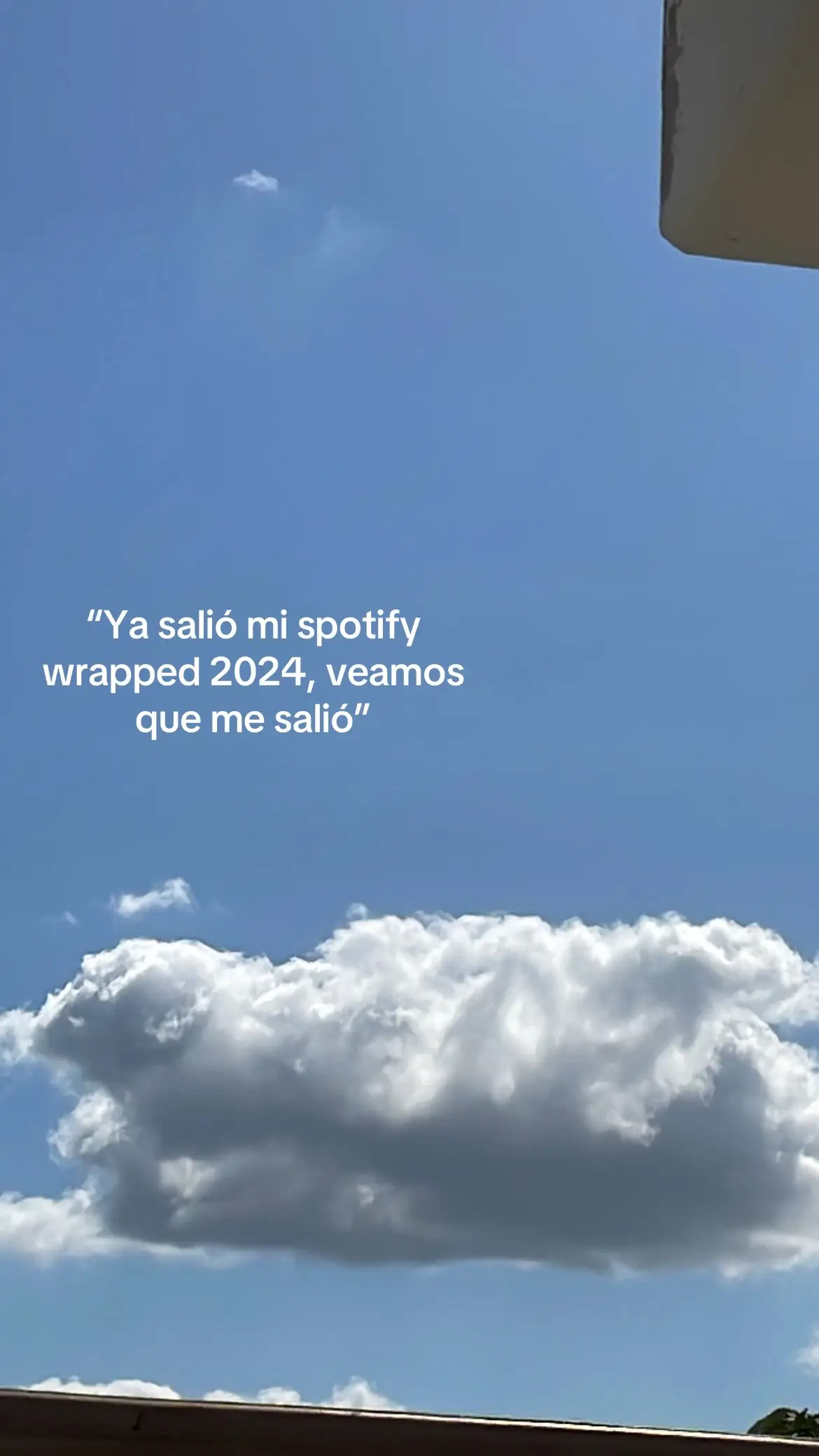 vale #spotify #spotifywrapped #2024 #amor 