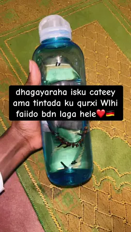 Others itaaabt walaal mahadsnid #walaaltigow🇸🇴 #walaaltigow #somaligermany🇸🇴🇩🇪 #somaliswedish🇸🇴🇸🇪 #somaliland #somalitiktok #somaliviral #somalitiktok12 #happyahmedhilwa #mogadishu #somalilandtiktok💚🤍❤ #burcotogdhersomaliland #somalikenya #somaliholland🇳🇱 