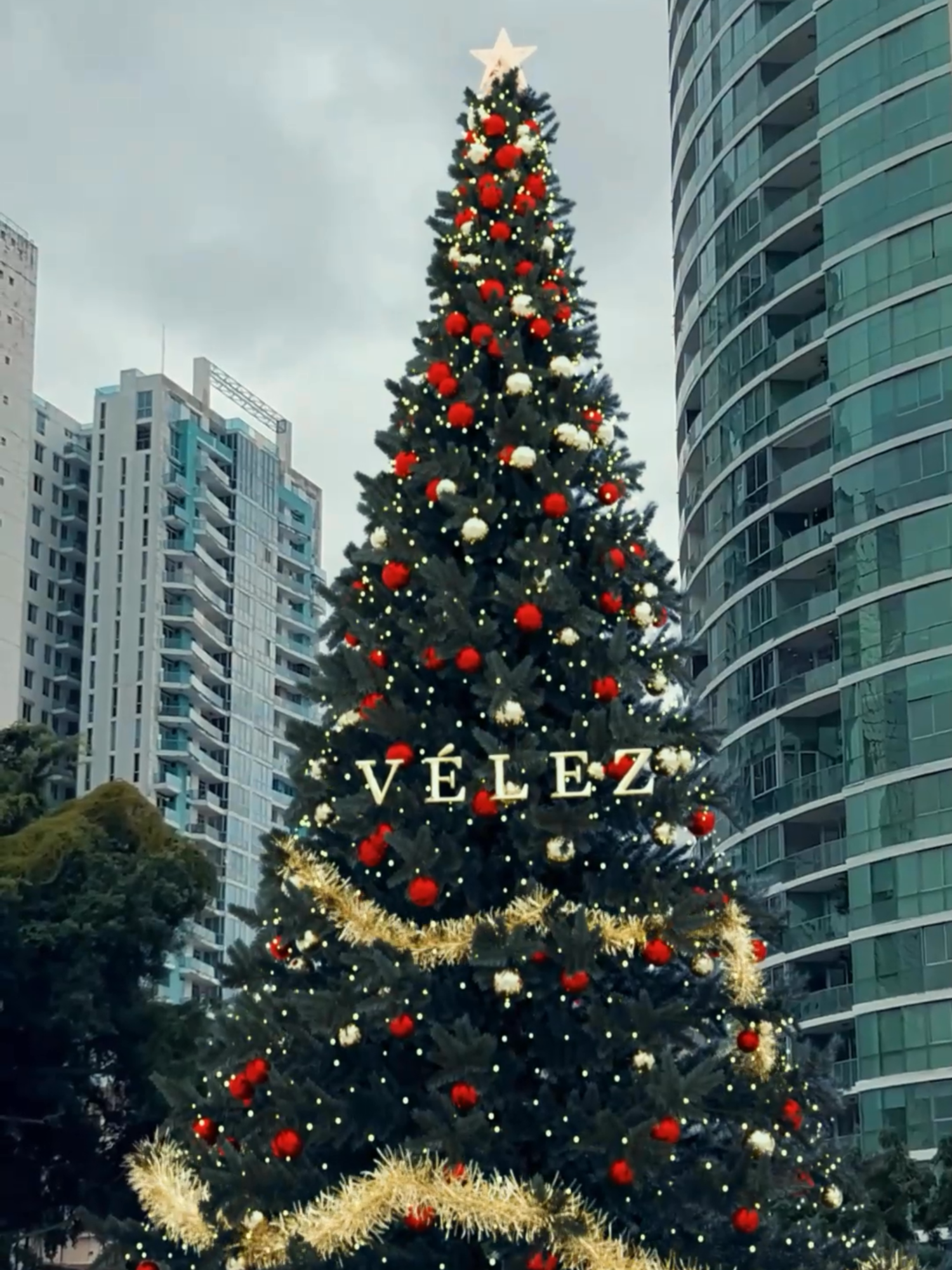Cada una de nuestras piezas lleva consigo la tradición de lo hecho a mano y la elegancia de lo eterno. Haz de tus regalos un legado. Tiendas físicas | Online | WhatsApp #Vélez