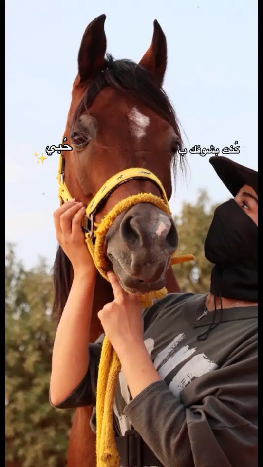 #خيل_وخياله🐎 #fypシ #equestrian #خيل_عربي #ماشاءاللہ #fyp 