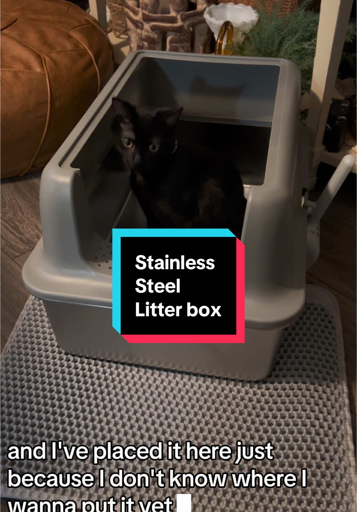 Anyask Enclosed Cat Litter Box Stainless Steel with Lid, XL Extra Large Litter Box for Big Cats, Metal, High Wall Sides Enclosure, Non-Sticky, Anti-Leakage, Easy Cleaning Sold bv Anvask Pet!  #stainlesssteellitterbox #kittensoftiktok #catlitterbox #litterbox #petcare #PetsOfTikTok #pets #cattok 