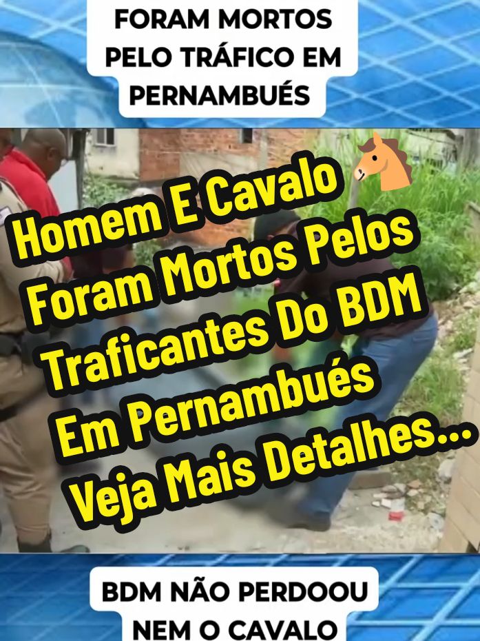 De Olho Nas Notícias 🚨  #facçoes #bandidos #noticias #deolhonasnoticias #entretenimiento #exclusividade #urgente #flagrante #policia #