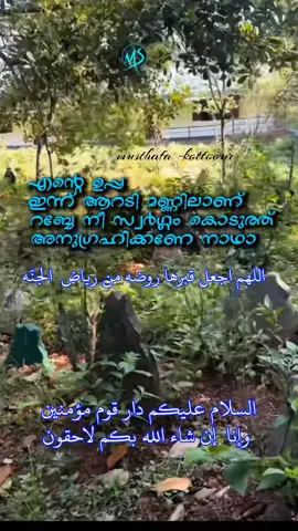 എൻറെ ഉപ്പാൻറെ കബർ ജീവിതം റാഹത്തിൽ ആക്കി കൊടുക്കണം നാഥാ#foryoupage 