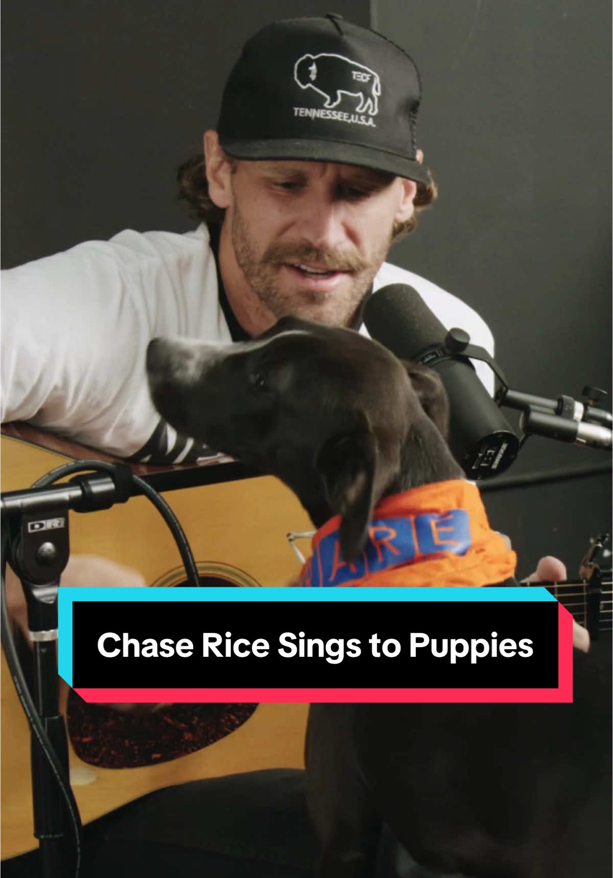 the mid-show potty break 😂 watch the full performance on YouTube! @Chase Rice @RARE #weratedogs 