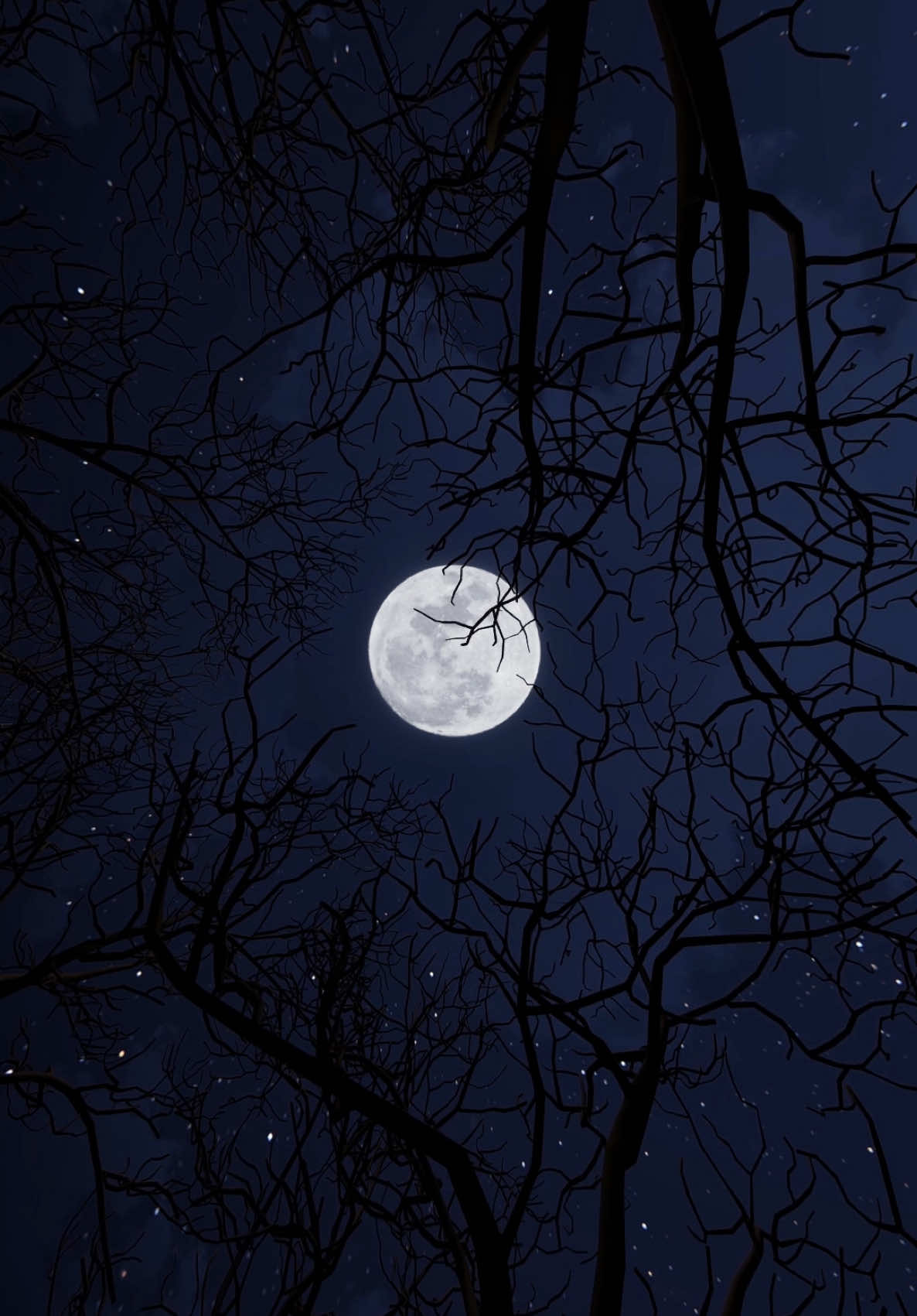 Four different views of full moon. 🌕❤️ Watch until the end and tell me: which one speaks to you the most? #moon #moonlight #birds #nightsky #night #aesthetics #calmdown #relaxing #fyp #viral #trending #aestheticvideos #serenebeauty #dreamymoon #calmingcontent