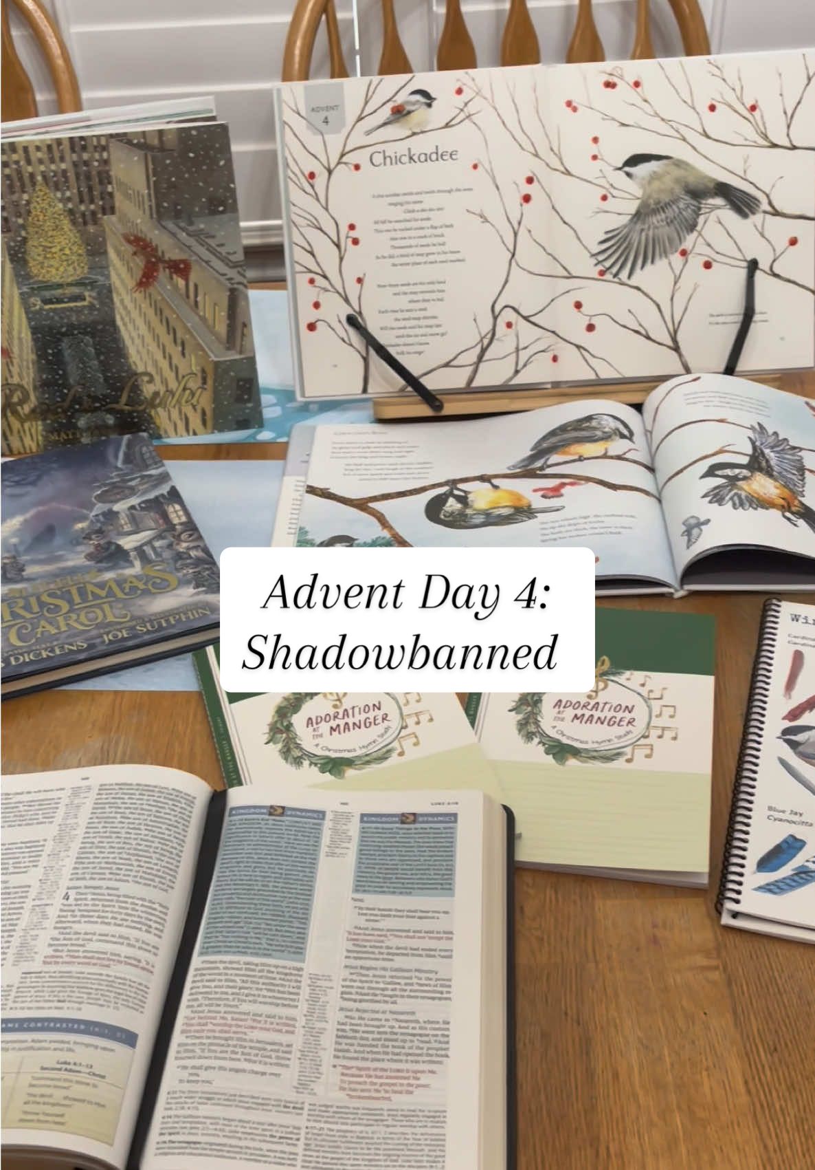 Advent day 4, and my thoughts on the TikTok algorithm. #algorithm #tiktokalgorithm #shadowbanned #views #creatorsearchinsights #contentcreator #sahm #christmas #godisgreater 