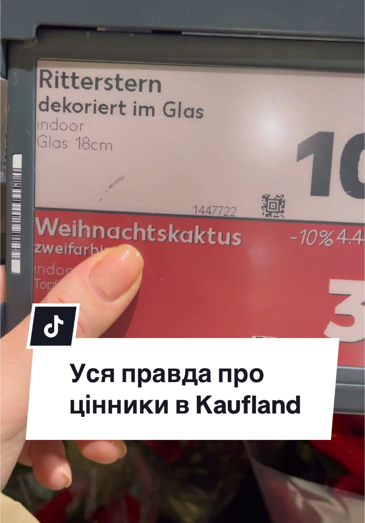 Життя в Німеччині. #українцізакордоном #українцівнімеччині #життявнімеччині #українськийконтент #асяконопельнюк #німеччина #украинцывгермании #блогпронімеччину 