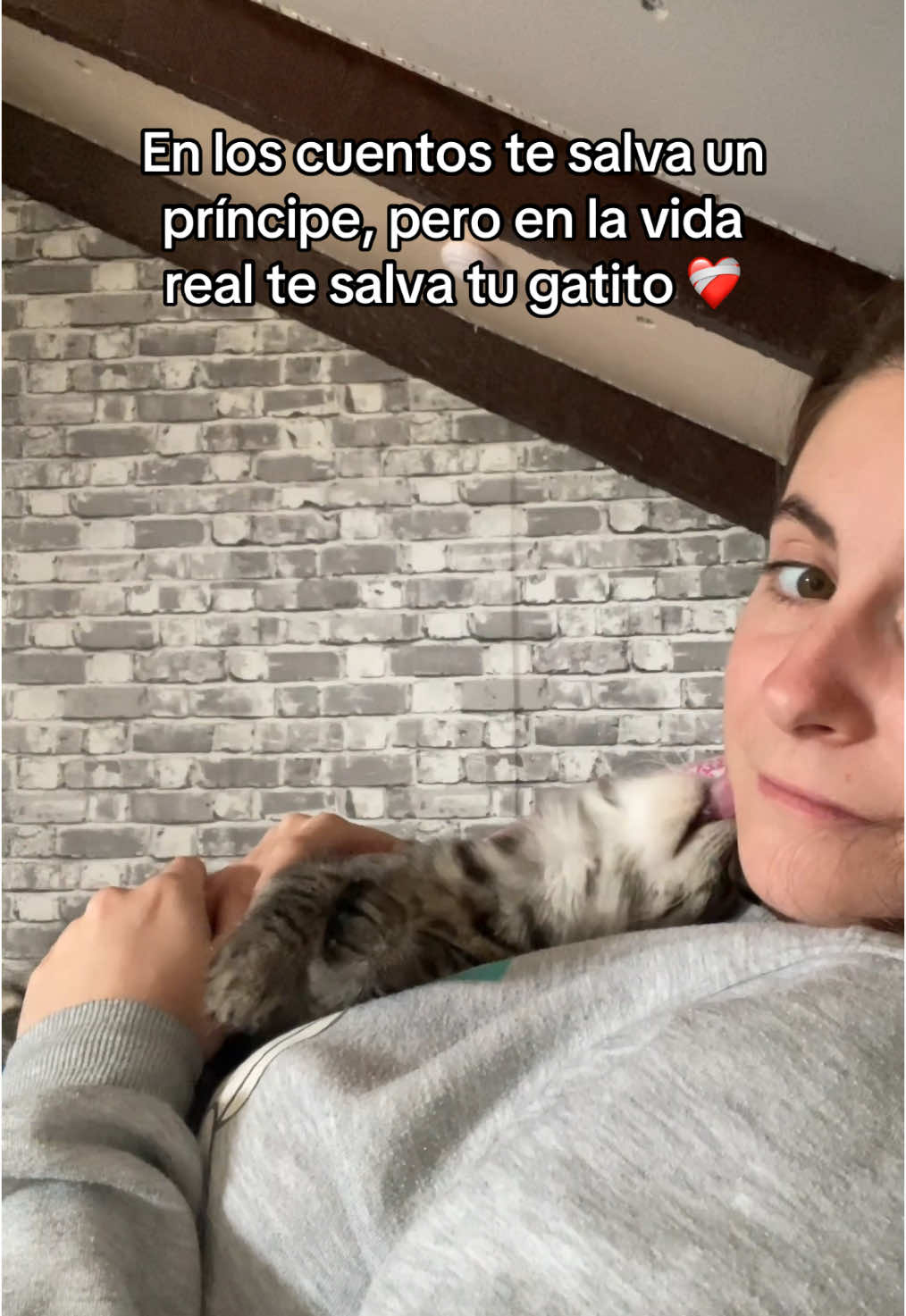 En los cuentos te salva un príncipe, pero en la vida real te salva tu gatito ❤️‍🩹 #gatos #michi #gato #gatostiktok #michisbonitos #gatoshumor #gatosdetiktok #gatosgraciosos #michistiktok #michis 