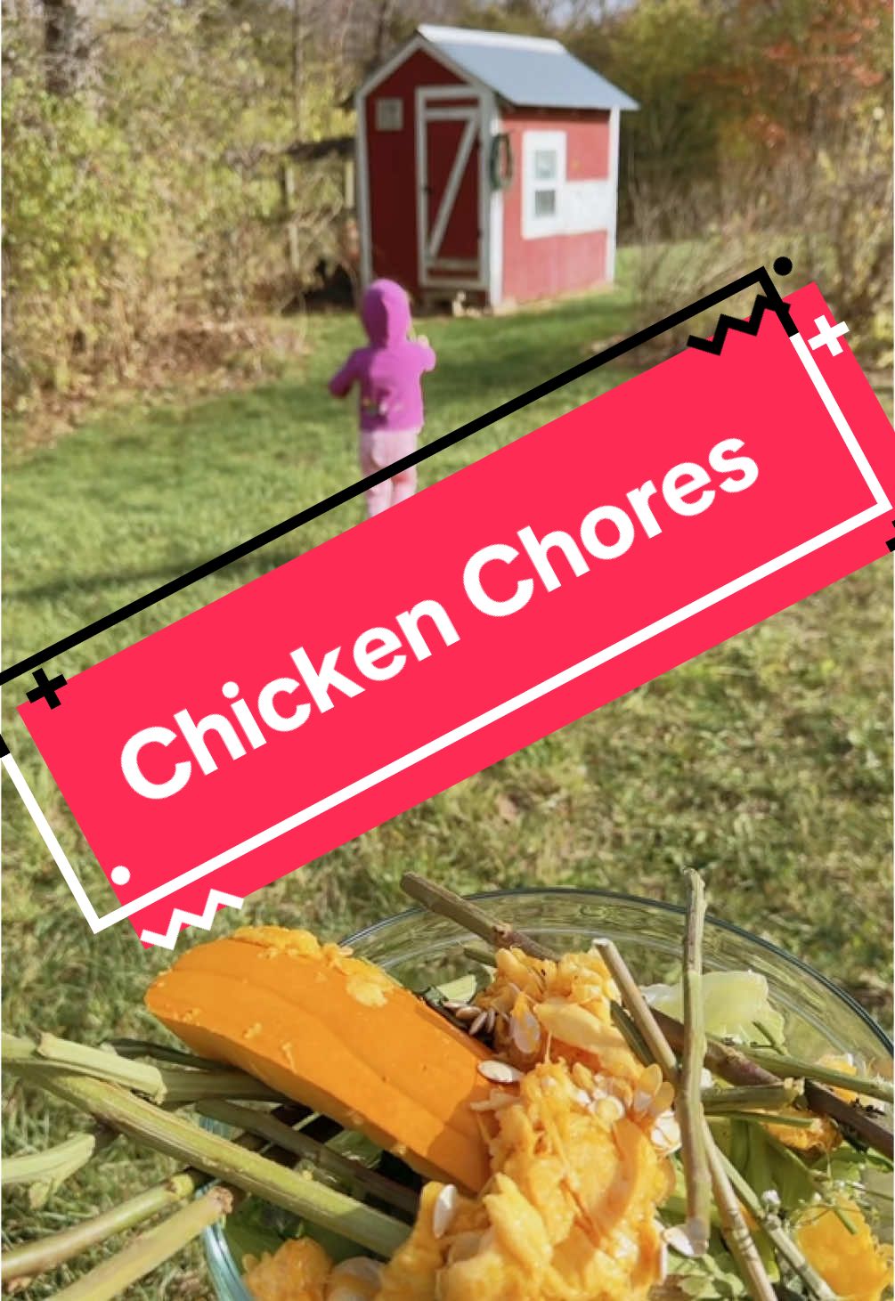 Come with me to take care of the chickens, food, water, but…no eggs now that it’s cold and we don’t have as much sun light. I love these mother cluckers 👩🏻‍🌾🐓🐥#chickens #chickensoftiktok #chores #farm #homestead