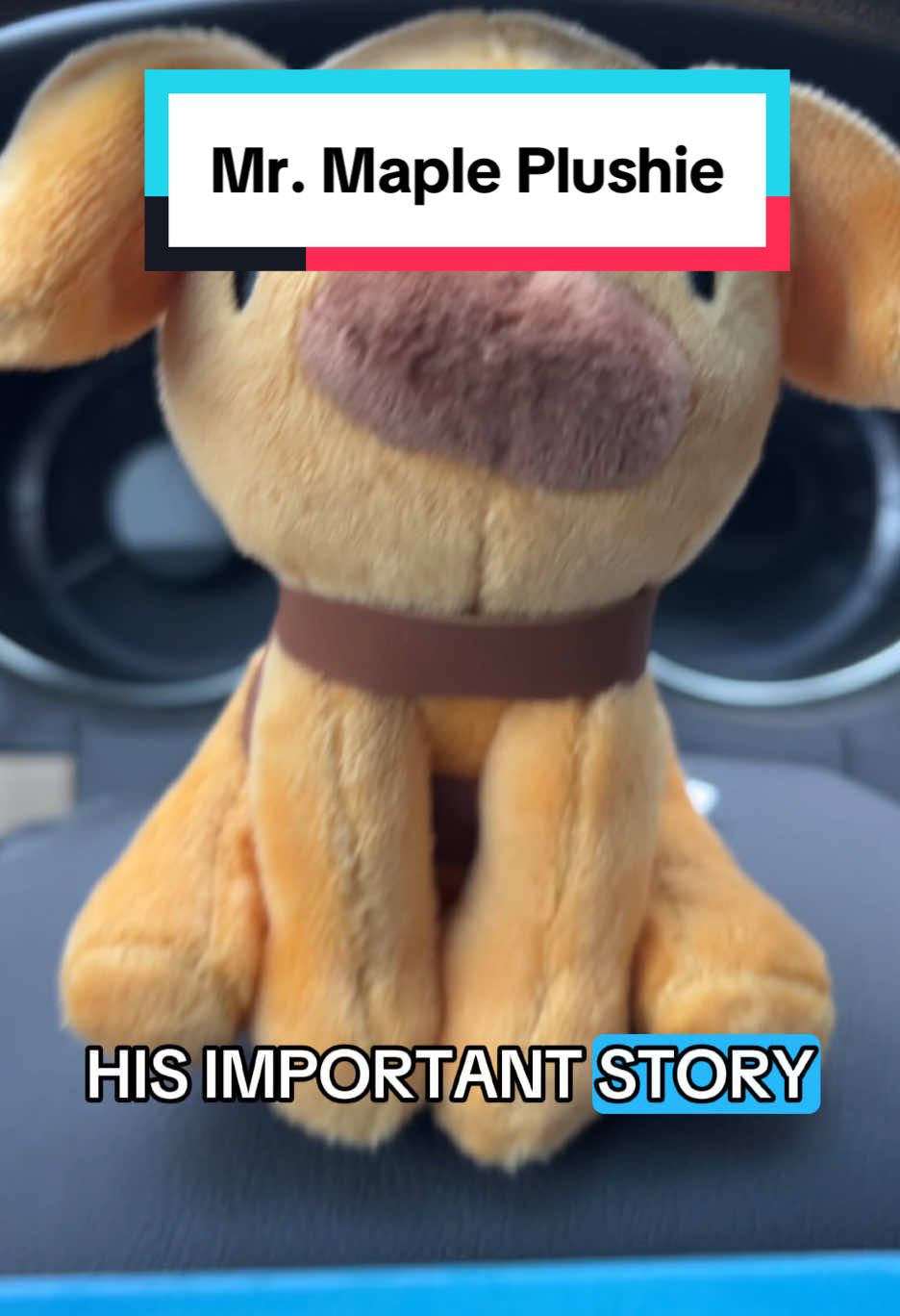 The most perfect stocking stuffer with the best story! #mrmaple #guidedog #dog #dogs #plushies #stuffedanimals #stockingstuffers #kid #christmasgift #calendar 
