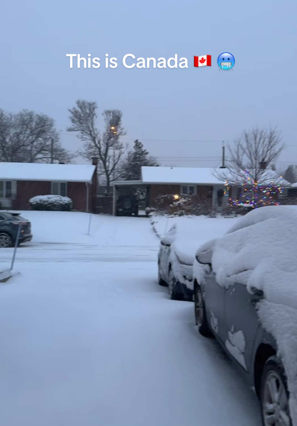 It has started snowing❄️🥶 #ottawa #canada_life🇨🇦 #wintervibes 