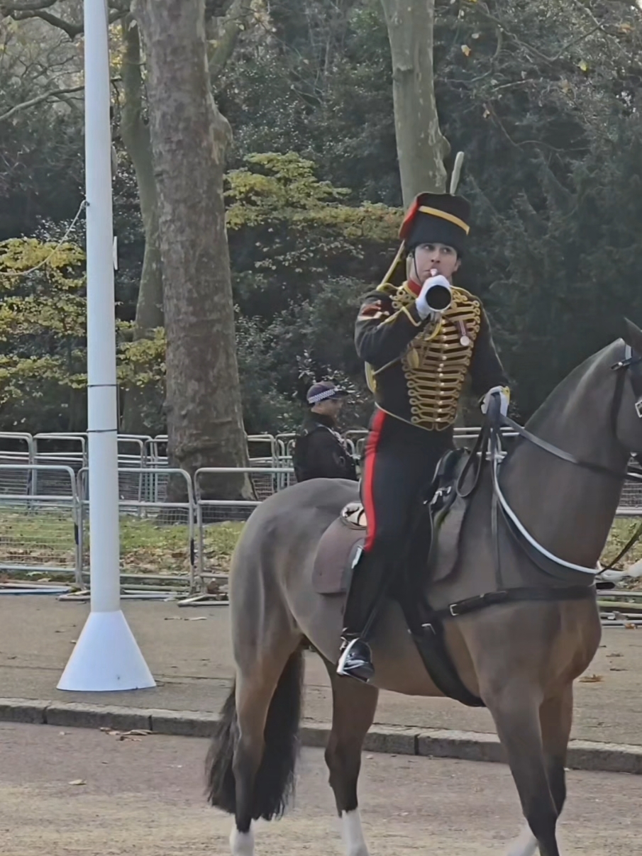 #horse #fyp #kingslifeguard #kingsguard #london #Qatar #buckinghampalace #horse #bluesandroyals #kingcharles #PrincessCatherine #princewilliam 