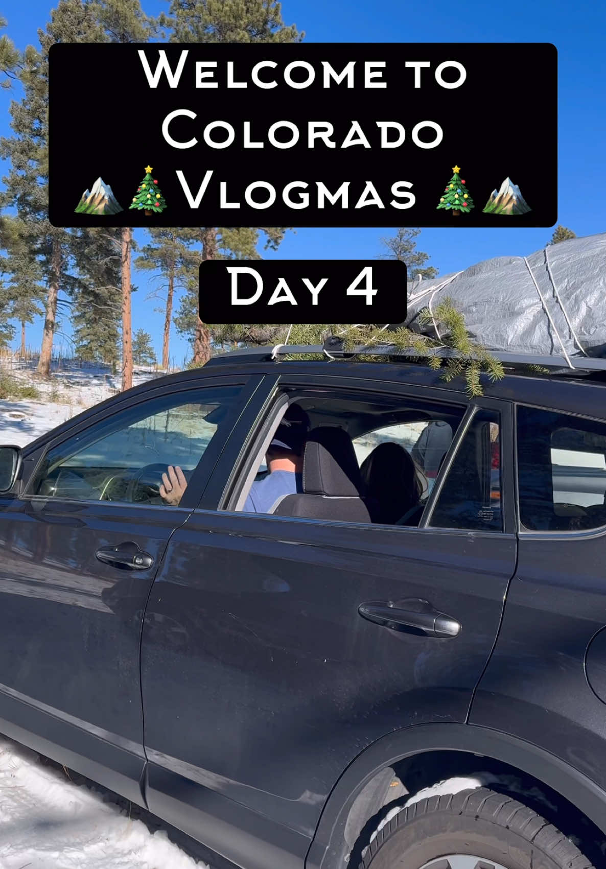 Colorado Vlogmas Day 4! Come cut down my family’s Christmas tree with me!  🚗Went up to South Platte Ranger District with my family  🎄Found the perfect tree to cut down  🌭Chowed down on some tasty chili and hot dogs  🏔️Drove back to town to set up the Christmas tree at my parents house  🎄Set up my Christmas tree and decorations in my apartment!  Like and follow for day 5! 🎅🏼🎁 #coloradochristmas #Vlogmas #denvercolorado #denverfoodie #rockymountains #christmastree #denvervlog #vlogmas2024 #coloradoadventures #coloradovibes #holidayvibes #christmas 