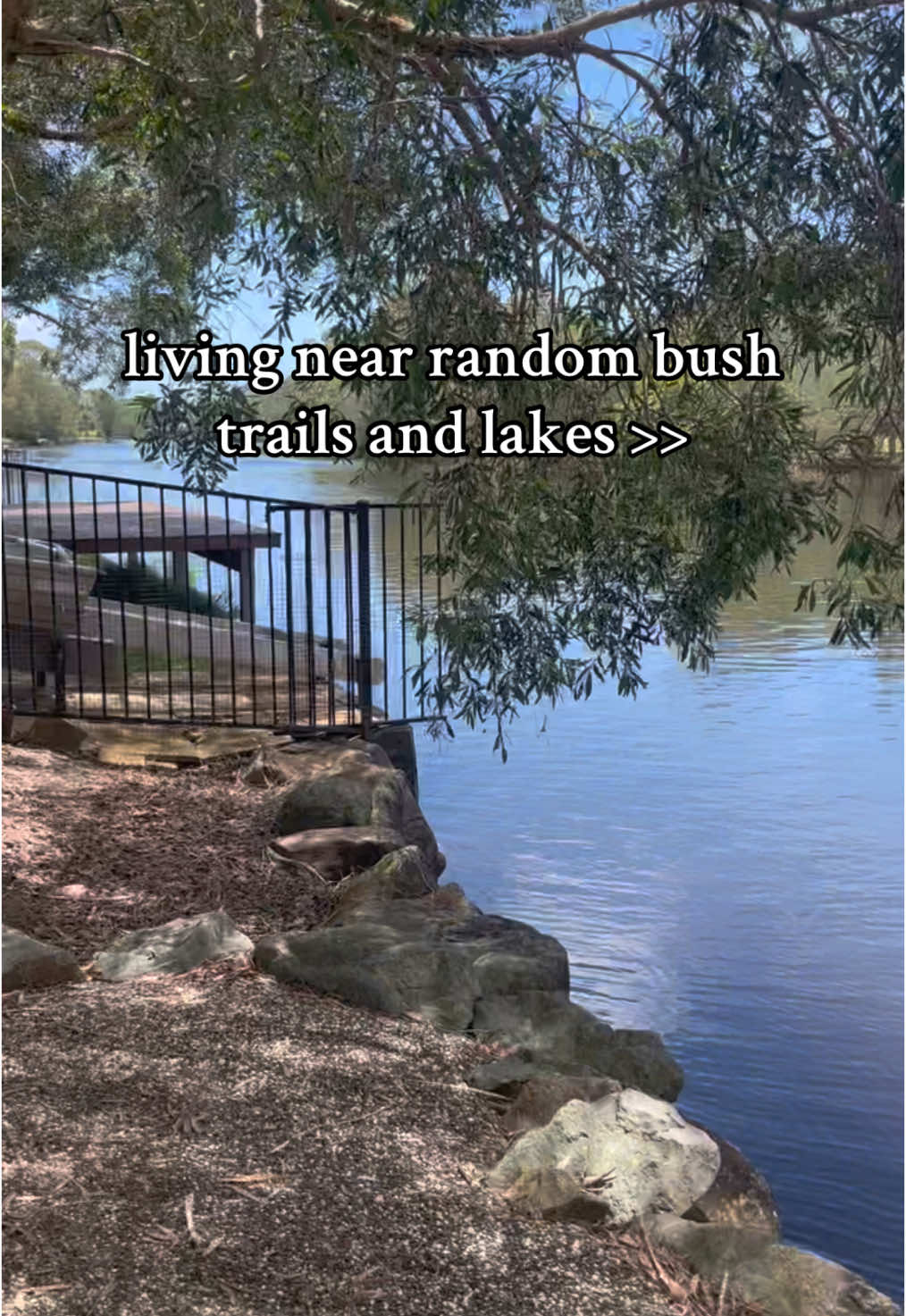 Sunshine Coast ✨ #sunshinecoast #lakes #ocean #forest #bushwalk #travel #explore #fyp #foryoupage #blowthisup #blowthisupforme #blowthisupformeplease #workout #smoothie #postworkout #recovery #nature #adventure #exercise #poetry #poems #beach #mountain #brisbane #qld #australia #Love #mealideas 