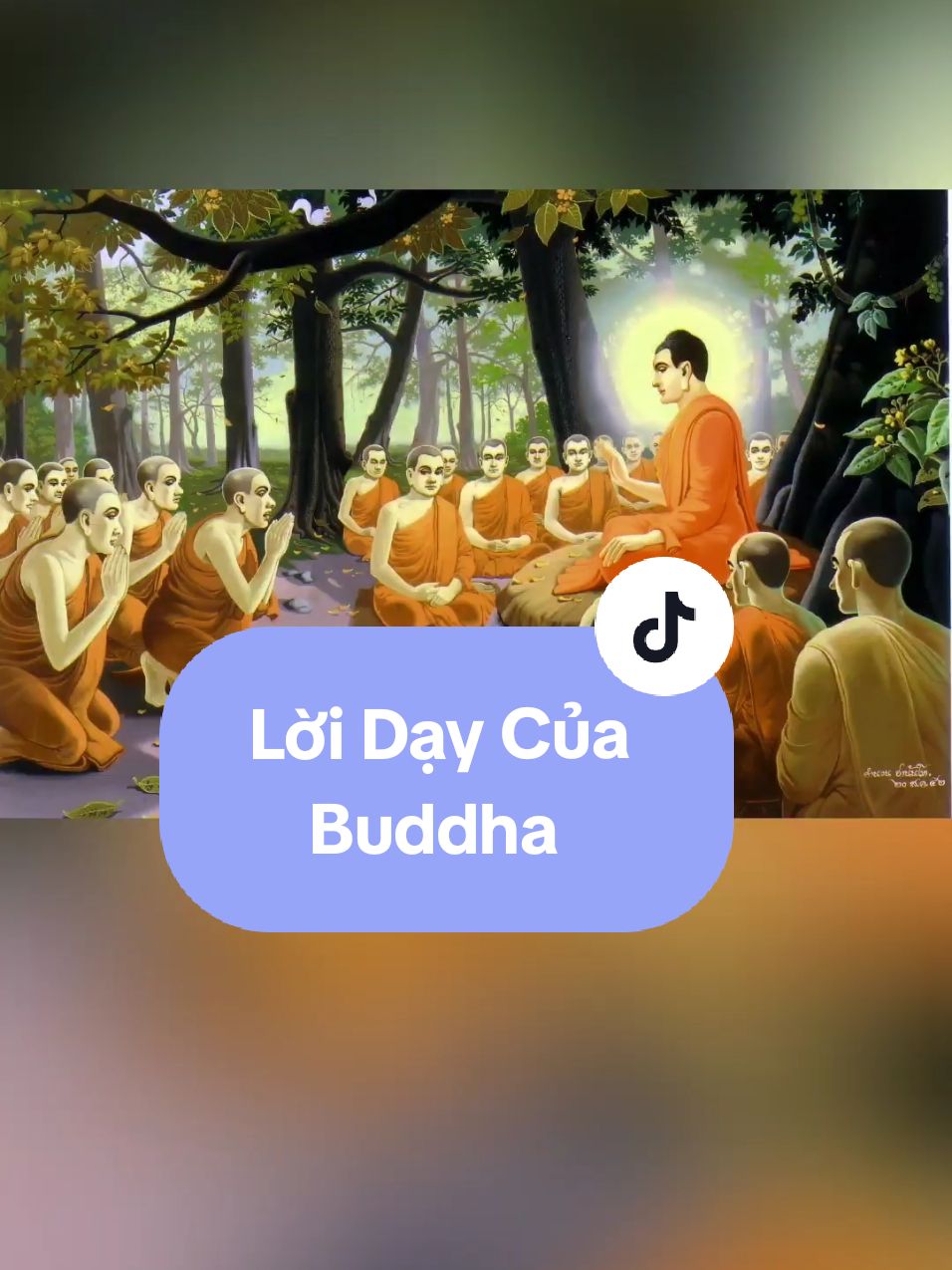 giữ dìn 5 giới #loidaycuaducphat #buddha #giacngo #phatphap #chanhphap #chanhniem #adidaphat #chanhniemmoingay #nammoadidaphat #thichcamauniphat #buddha 