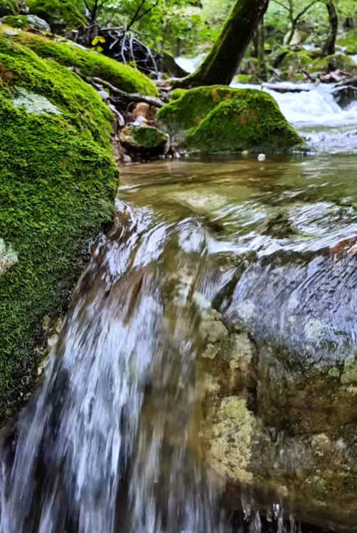 Calm valley 🍀💦 #naturevibes #nature #forest #valley #calm #relax #livewallpaper #koreatravel #yongmunsan #용문산관광단지 #용문산계곡 #용문사계곡 