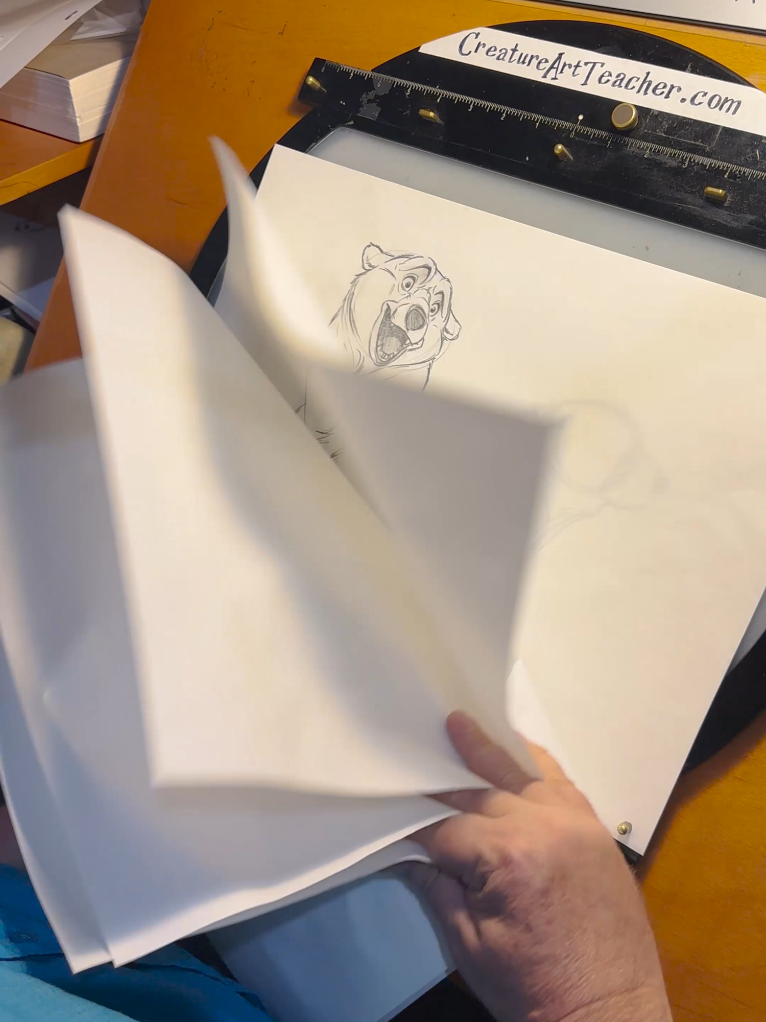 Hand Drawn Animation Demo #snowbear #animation #2danimation #handdrawnanimation #polarbear #arctic #drawing #paperanimation