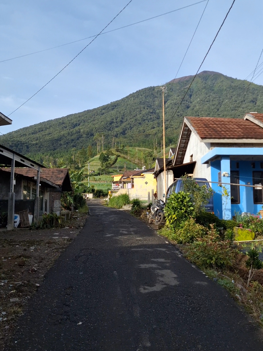 siapa yang sering lewat sini kalo ke gunung malang? #gunungmalang #gunungslamet #gunungmalanggunungslamet #gunungslametgunungmalang #gunungmalangpurbalingga #purbalingga #edellweisadventure #fyp #foryou 