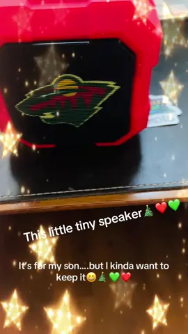 I love this little soeaker!! It’s nothing fancy, but it’s so cool for kids! Especially if they are hockey fans🎄💚❤️ #itsthelittlethings #amazonfinds 