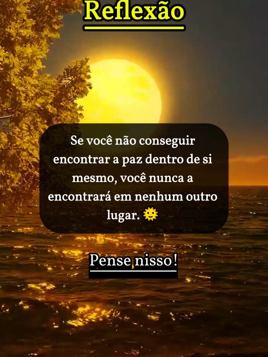 frases para refletir sobre a vida 😎🌻#reflexão #reflexãododia #frases #pensamentododia #Motivação #frasesmotivadoras 