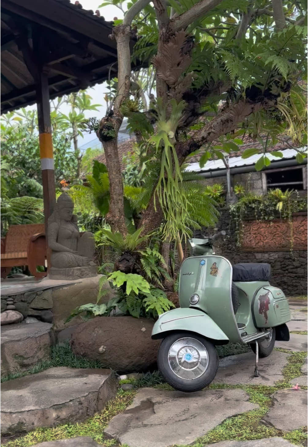 Astungkara kolam natural vespa sprint😂💚🌿 #mudabedanaturally #mudabeda #natural #vespa #vespasprint #kolamnatural #naturalponds #naturalpond #kolamkoi #kolamikankoi #honeymoongreenvilla #villaubud #villa #kebunnatural #kebun #alambali #vespaklasik #fyp #viralkan #viral #ubud #bali 