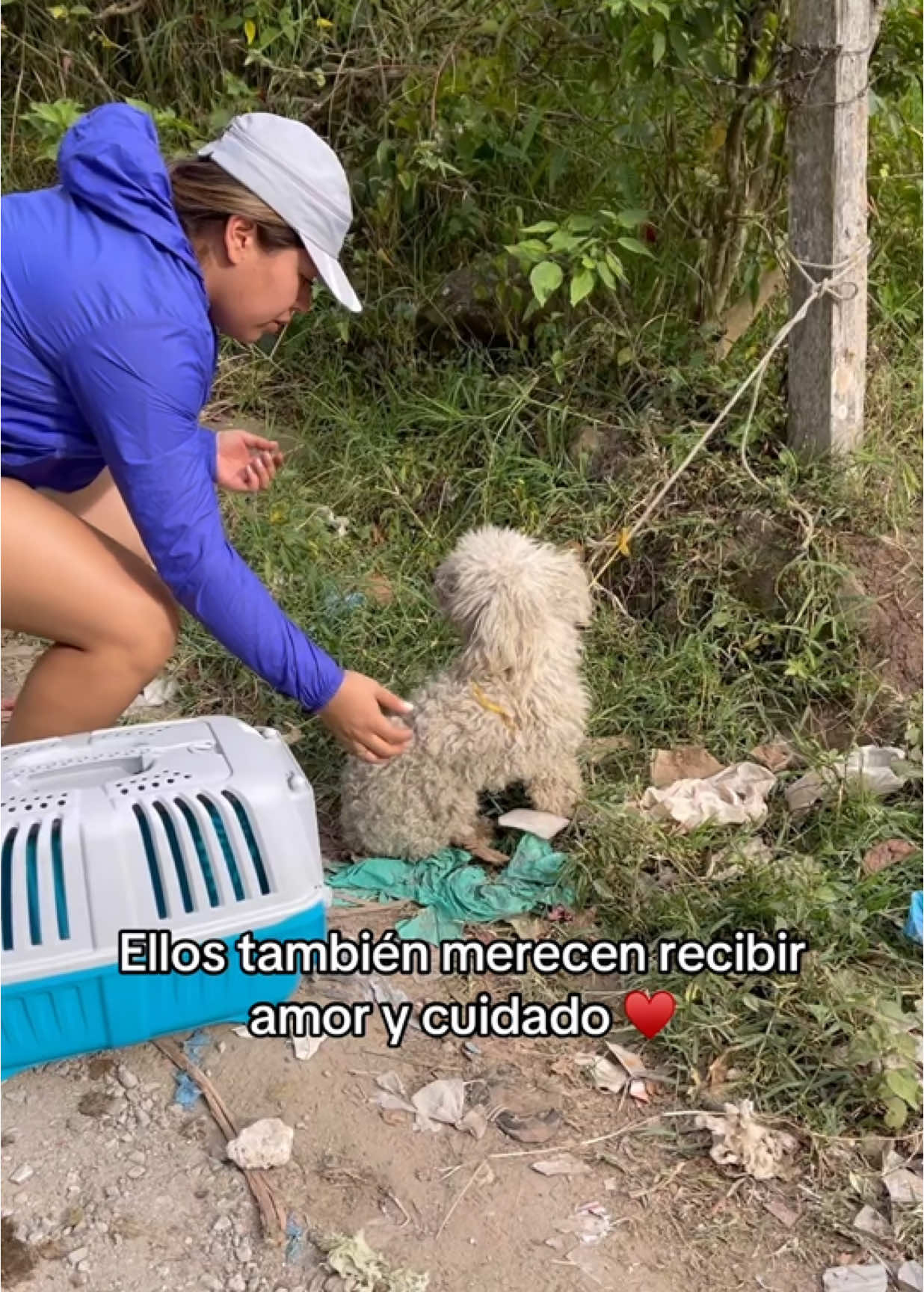 Increible el cambio ❤️#rescatedeanimales #perro #rescateanimal #animales #mascotas #ayudandoanimales #animls #joseayuda 