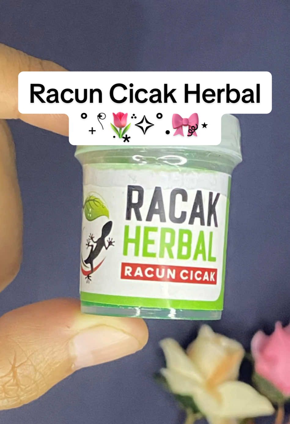 Racun Cicak => RACAK HERBAL Terbukti sangat AMPUH membasmi Cicak #racuncicak #racuncicakviral #racuncicakherbal #racakherbal #terbuktiampuh 