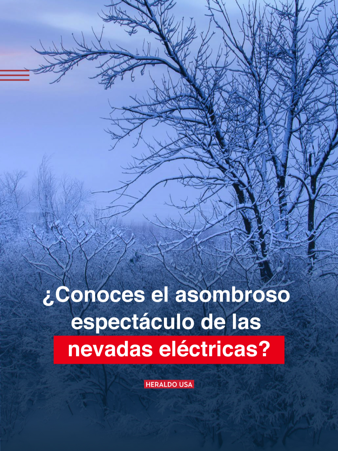 Un fenómeno de la naturaleza que pocos conocen y tienen la oportunidad de ver. #nevada #nieve #navidad #santaclaus