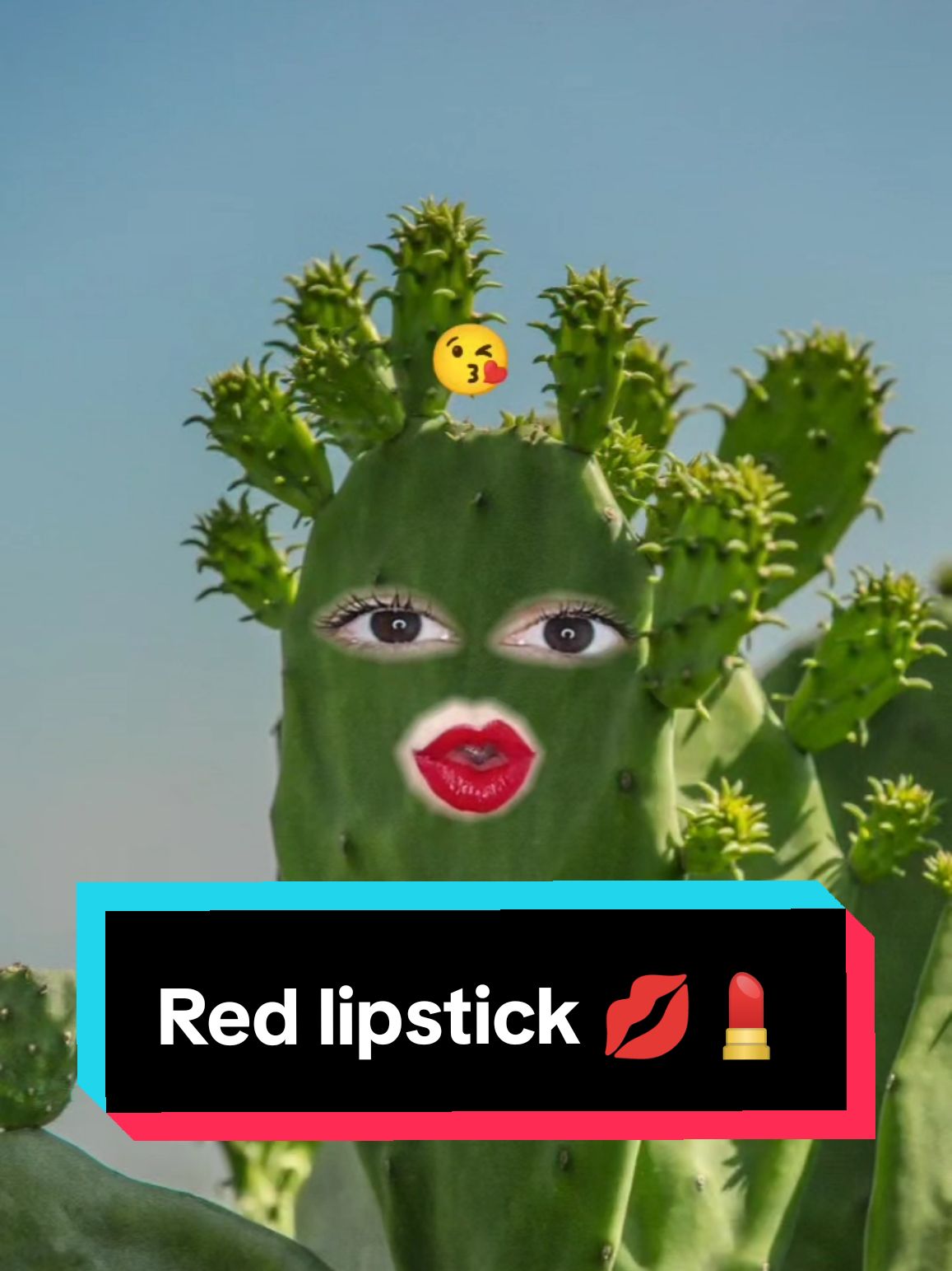 Red lipstick actually comes from nopales. The cochineal bug thrives off of nopales, and can be collected to make red dye.  This natural red dye is then used in food, beverages and of course, cosmetics. This means that your favorite red lipstick, might actually come from the wonderful nopal plant!  Next time you're doing your makeup, remember that nopales made it possible hahaha.  Did you know this?  💄💋😘✨ #creatorsearchinsights #redlip #redlips #redlipstick #redlipstickgirl 