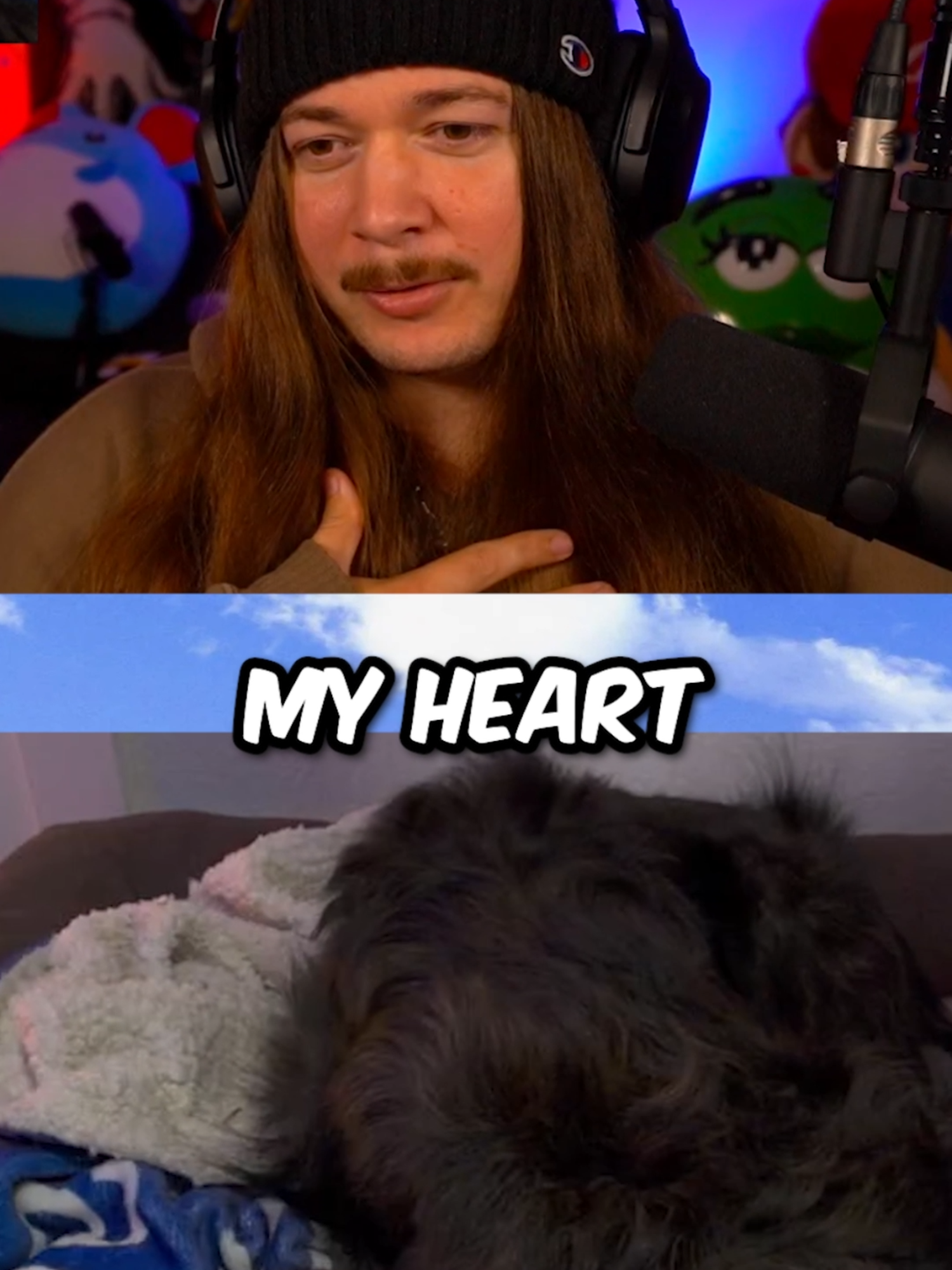 KERMIE CAM KERMIE CAM KERMIE CAM #jimmyhere #ylyl #laugh #funny #dog #kermie #streamer #dogs #dogsoftiktok #viral #twitch #meme #memes