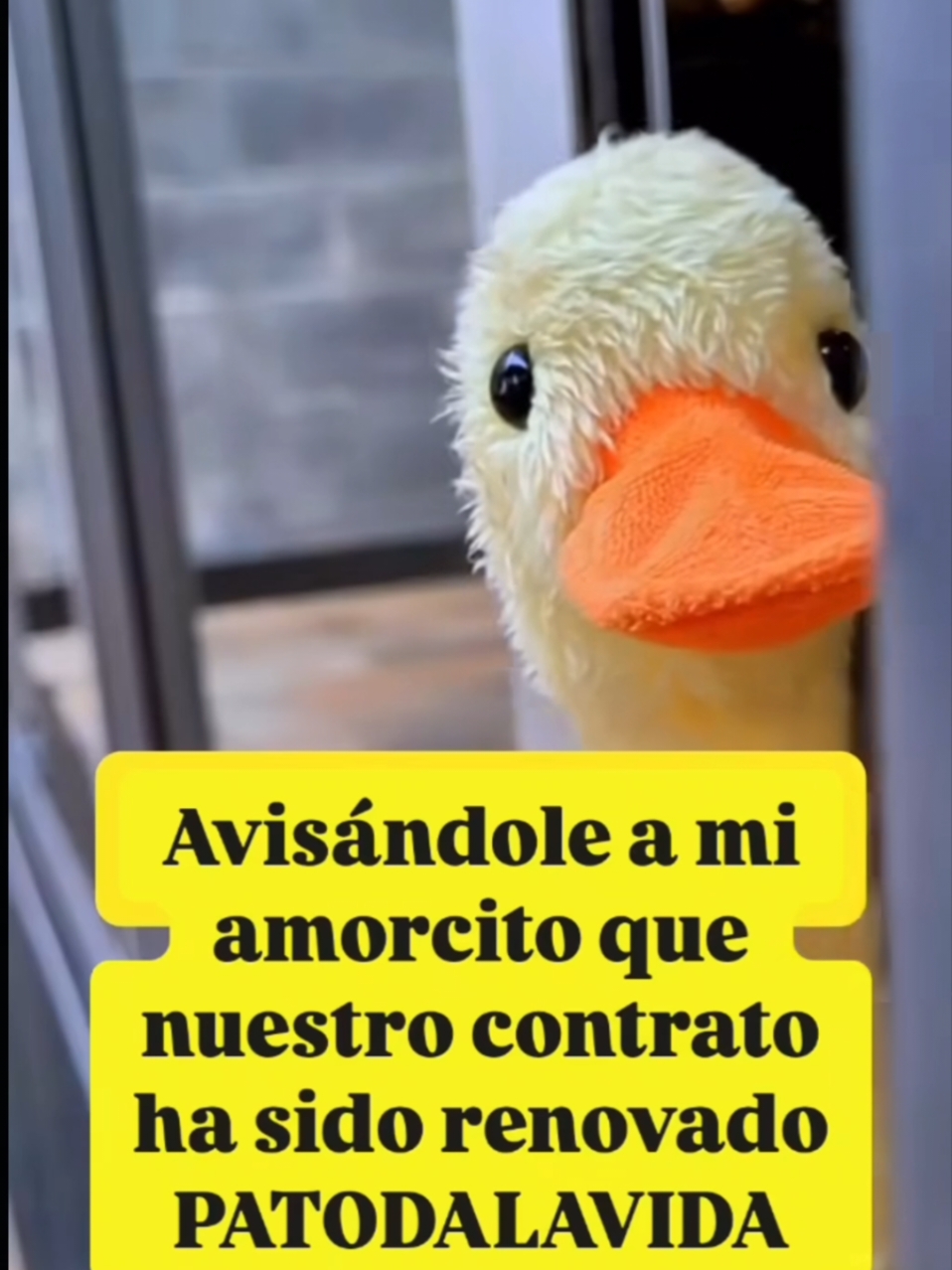 @dvidhp avisandote que nuestro  contrato es para toda la vida🤣🤭👩‍❤️‍💋‍👨❤️#miamorcito #miamor #viral_video #tiktokviral #videos #humortiktok👩‍❤️‍💋‍👨 #humor 