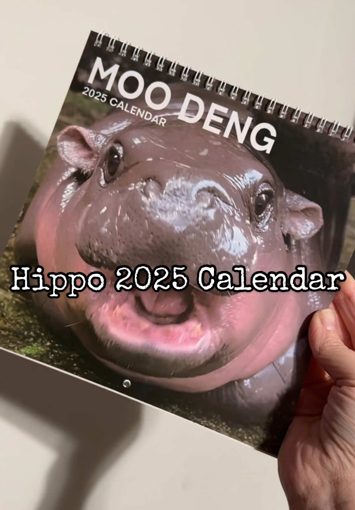 Pigmy Hippo 2025 Calendar on Tiktok Shop #hippo #pigmyhippo #calendar #2025 #newyear 