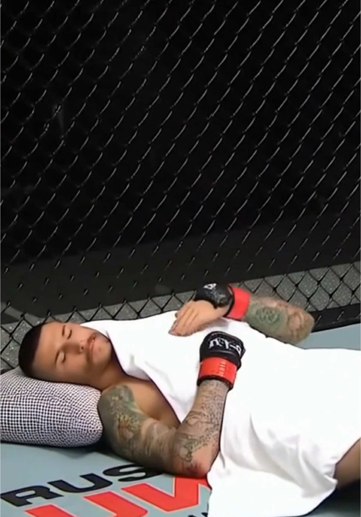 Sean O’Malley providing all the goods to make the sleep more relaxing   #knockout #UFC #mma #seanomalley #sugasean #sleep #fyp 